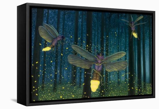 Night Light Flight-James W. Johnson-Framed Stretched Canvas