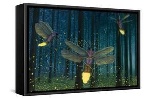 Night Light Flight-James W. Johnson-Framed Stretched Canvas