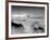 Night... Mare-Thomas Barbey-Framed Giclee Print