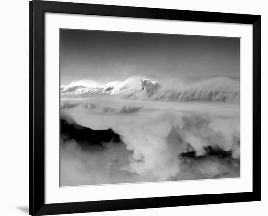 Night... Mare-Thomas Barbey-Framed Giclee Print