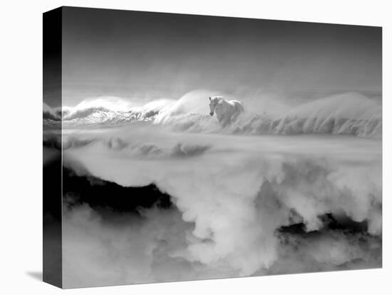 Night... Mare-Thomas Barbey-Stretched Canvas