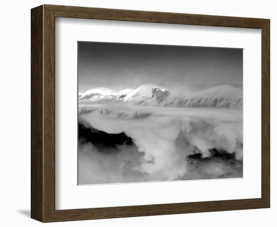 Night... Mare-Thomas Barbey-Framed Giclee Print