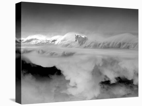 Night... Mare-Thomas Barbey-Stretched Canvas