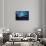 Night mood-Heidi Westum-Framed Stretched Canvas displayed on a wall