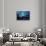 Night mood-Heidi Westum-Stretched Canvas displayed on a wall