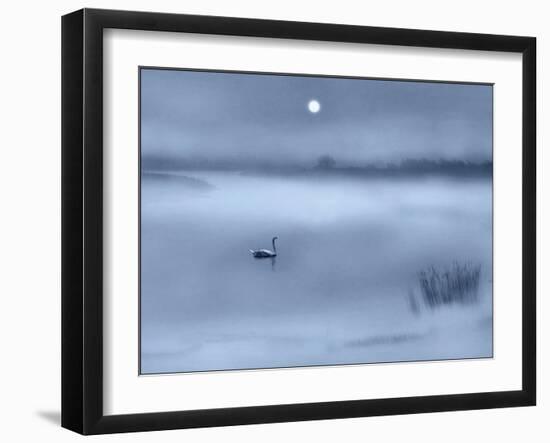 Night Moods-Adrian Campfield-Framed Giclee Print