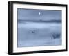 Night Moods-Adrian Campfield-Framed Giclee Print