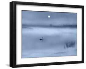 Night Moods-Adrian Campfield-Framed Giclee Print