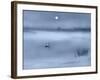 Night Moods-Adrian Campfield-Framed Giclee Print