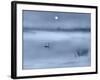 Night Moods-Adrian Campfield-Framed Giclee Print