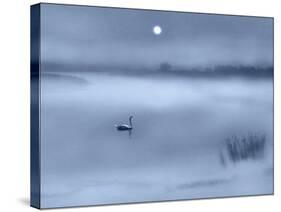 Night Moods-Adrian Campfield-Stretched Canvas