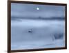 Night Moods-Adrian Campfield-Framed Giclee Print