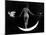 "Night", Nude Model, 1895-Science Source-Mounted Giclee Print