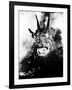 Night of the Demon, (aka Curse of the Demon), 1957-null-Framed Photo