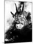 Night of the Demon, (aka Curse of the Demon), 1957-null-Mounted Photo
