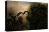 Night of the Owl 1-Jai Johnson-Stretched Canvas