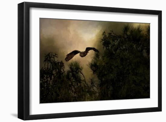 Night of the Owl 1-Jai Johnson-Framed Giclee Print