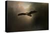 Night of the Owl 2-Jai Johnson-Stretched Canvas