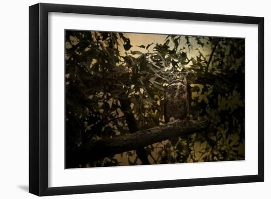 Night of the Owl 3-Jai Johnson-Framed Giclee Print