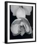 Night Orchid I-Tony Koukos-Framed Giclee Print