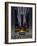 Night Out New York-Big Island Studios-Framed Art Print