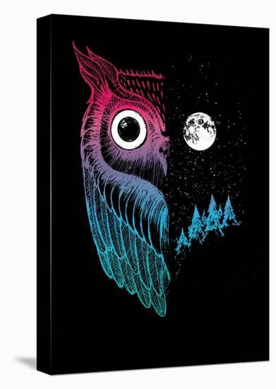 Night Owl-Michael Buxton-Stretched Canvas