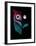 Night Owl-Michael Buxton-Framed Art Print