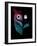 Night Owl-Michael Buxton-Framed Art Print