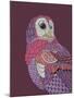 Night Owl-Drawpaint Illustration-Mounted Giclee Print