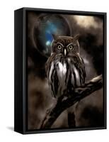 Night Owl-null-Framed Stretched Canvas