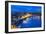 Night Panorama of Kiev-connect1-Framed Photographic Print