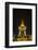 Night Photograph of the Statue of Norodom Sihanouk, Phnom Penh, Cambodia, Indochina-Michael Nolan-Framed Photographic Print