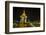 Night Photograph of the Statue of Norodom Sihanouk, Phnom Penh, Cambodia, Indochina-Michael Nolan-Framed Photographic Print