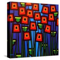 Night Poppies-John Nolan-Stretched Canvas