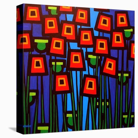 Night Poppies-John Nolan-Stretched Canvas