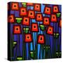 Night Poppies-John Nolan-Stretched Canvas