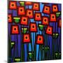 Night Poppies-John Nolan-Mounted Giclee Print