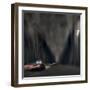 Night pursuit-David Senechal Photographie-Framed Photographic Print