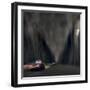 Night pursuit-David Senechal Photographie-Framed Photographic Print