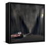 Night pursuit-David Senechal Photographie-Framed Stretched Canvas