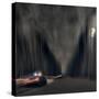 Night pursuit-David Senechal Photographie-Stretched Canvas