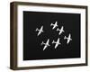 Night Raiders-null-Framed Photographic Print