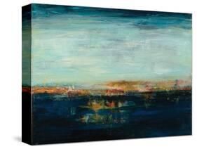 Night Reflection-Nikki Dilbeck-Stretched Canvas