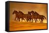 Night Runners-Lisa Dearing-Framed Stretched Canvas