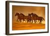 Night Runners-Lisa Dearing-Framed Photographic Print