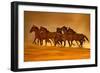 Night Runners-Lisa Dearing-Framed Photographic Print