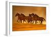 Night Runners-Lisa Dearing-Framed Photographic Print