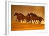 Night Runners-Lisa Dearing-Framed Photographic Print