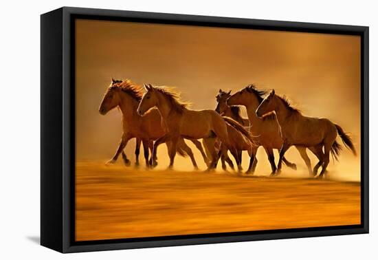 Night Runners-Lisa Dearing-Framed Stretched Canvas