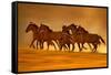 Night Runners-Lisa Dearing-Framed Stretched Canvas